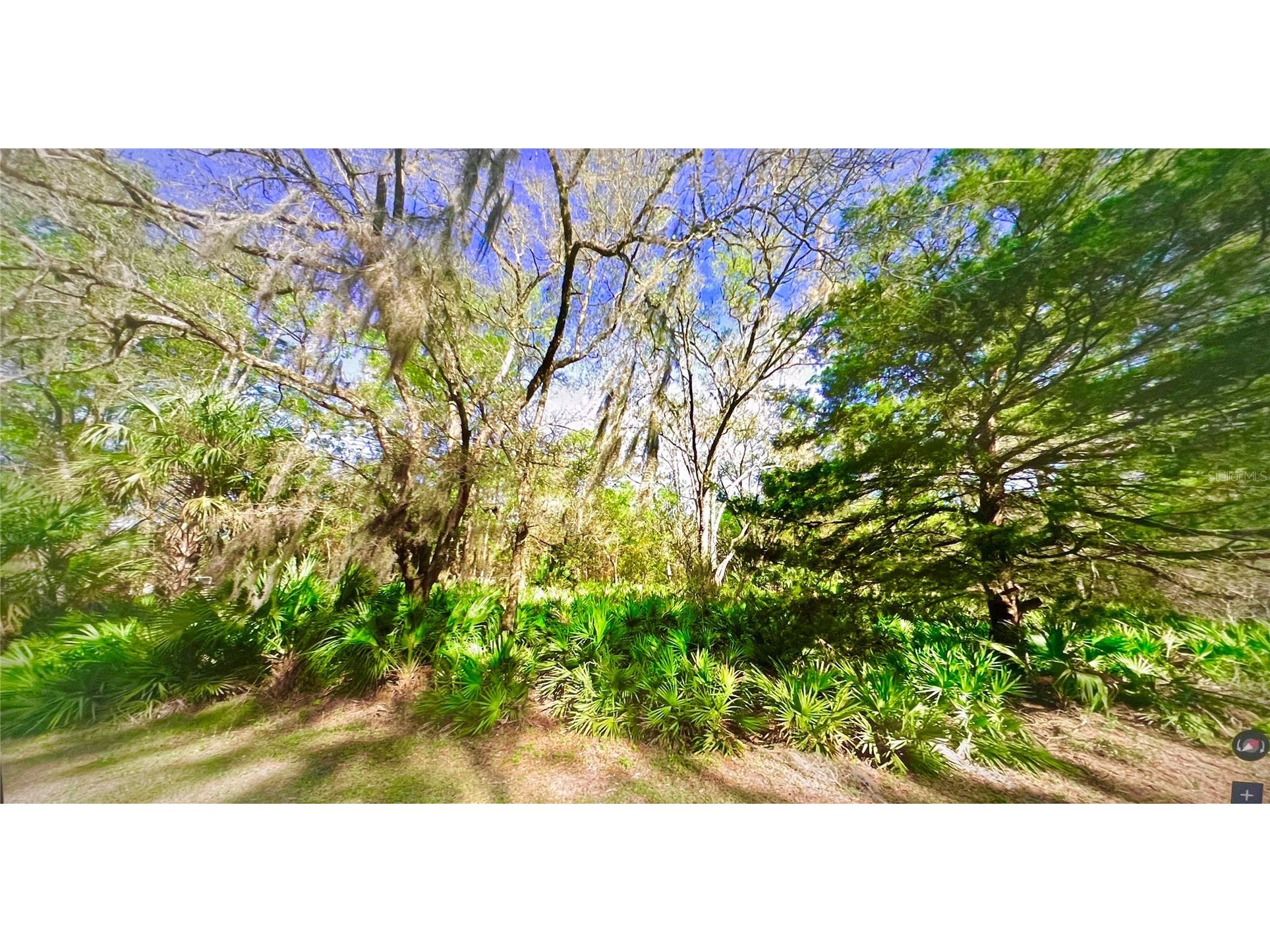 10047 W Dunnellon Road Crystal River FL 34428 W7886098 image1