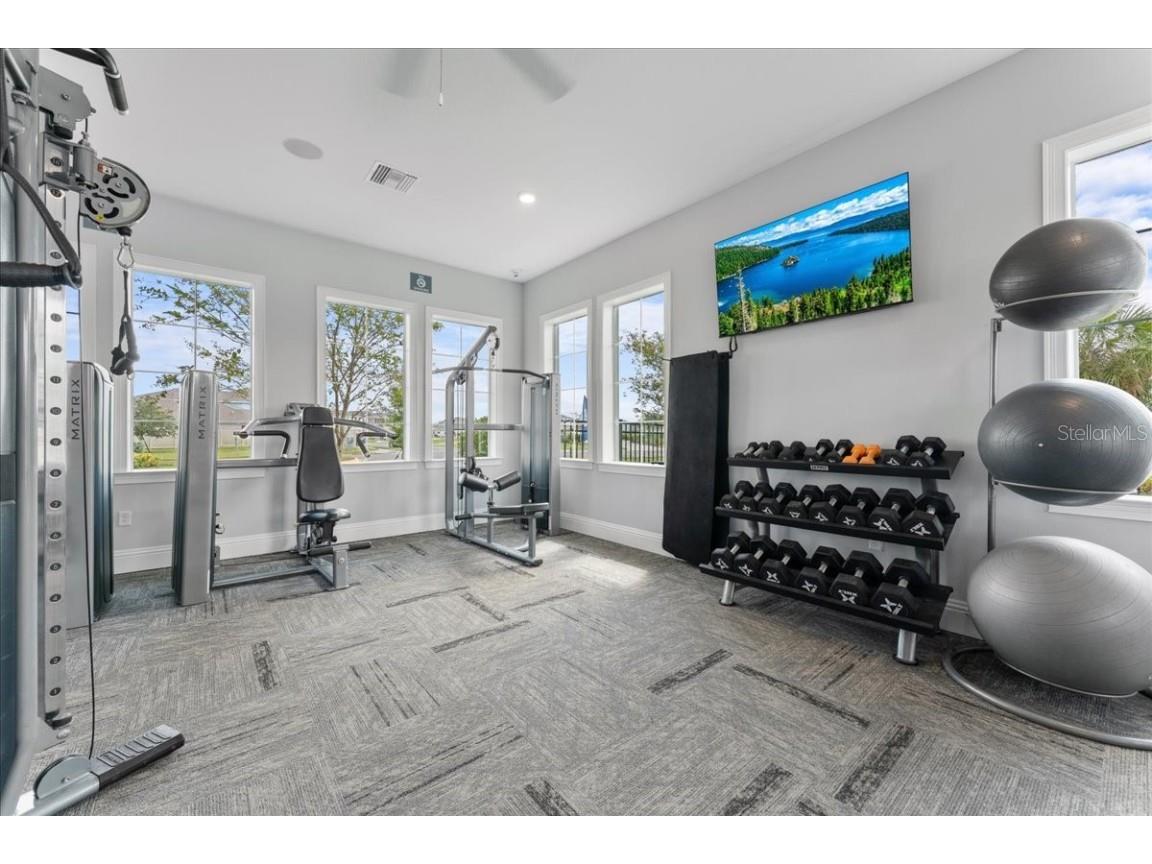 10048 Big Marsh Terrace Parrish FL 34219 A4667431 image30