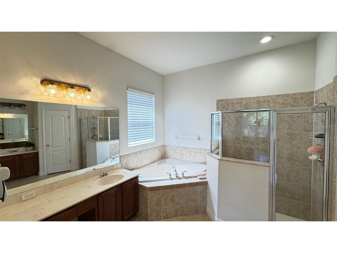 10048 Cleghorn Drive San Antonio FL 33576 TB8364923 image17