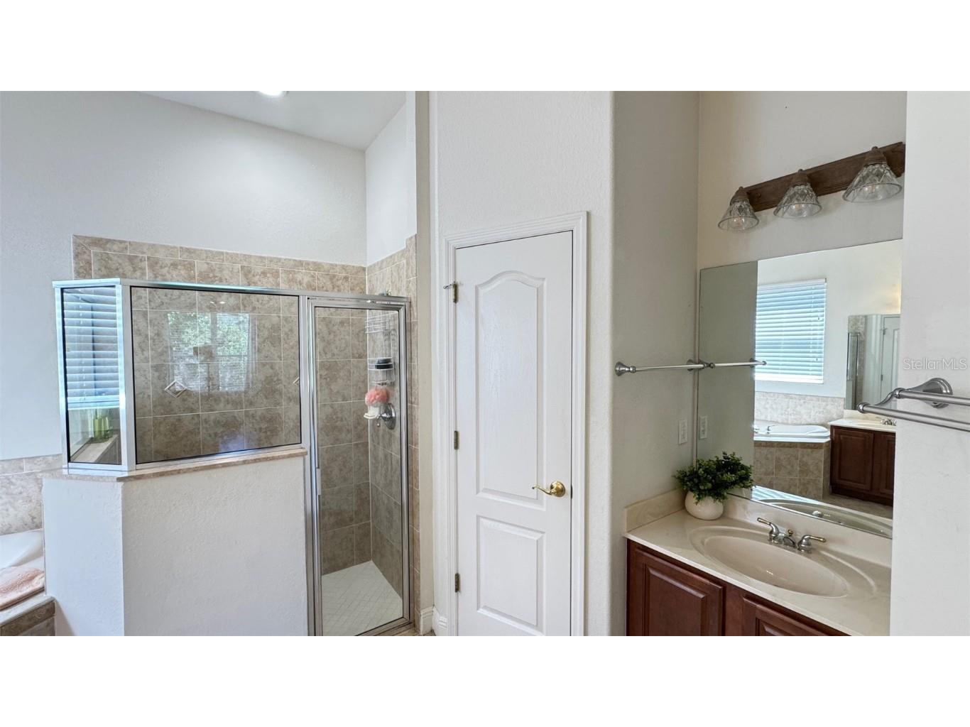 10048 Cleghorn Drive San Antonio FL 33576 TB8364923 image18