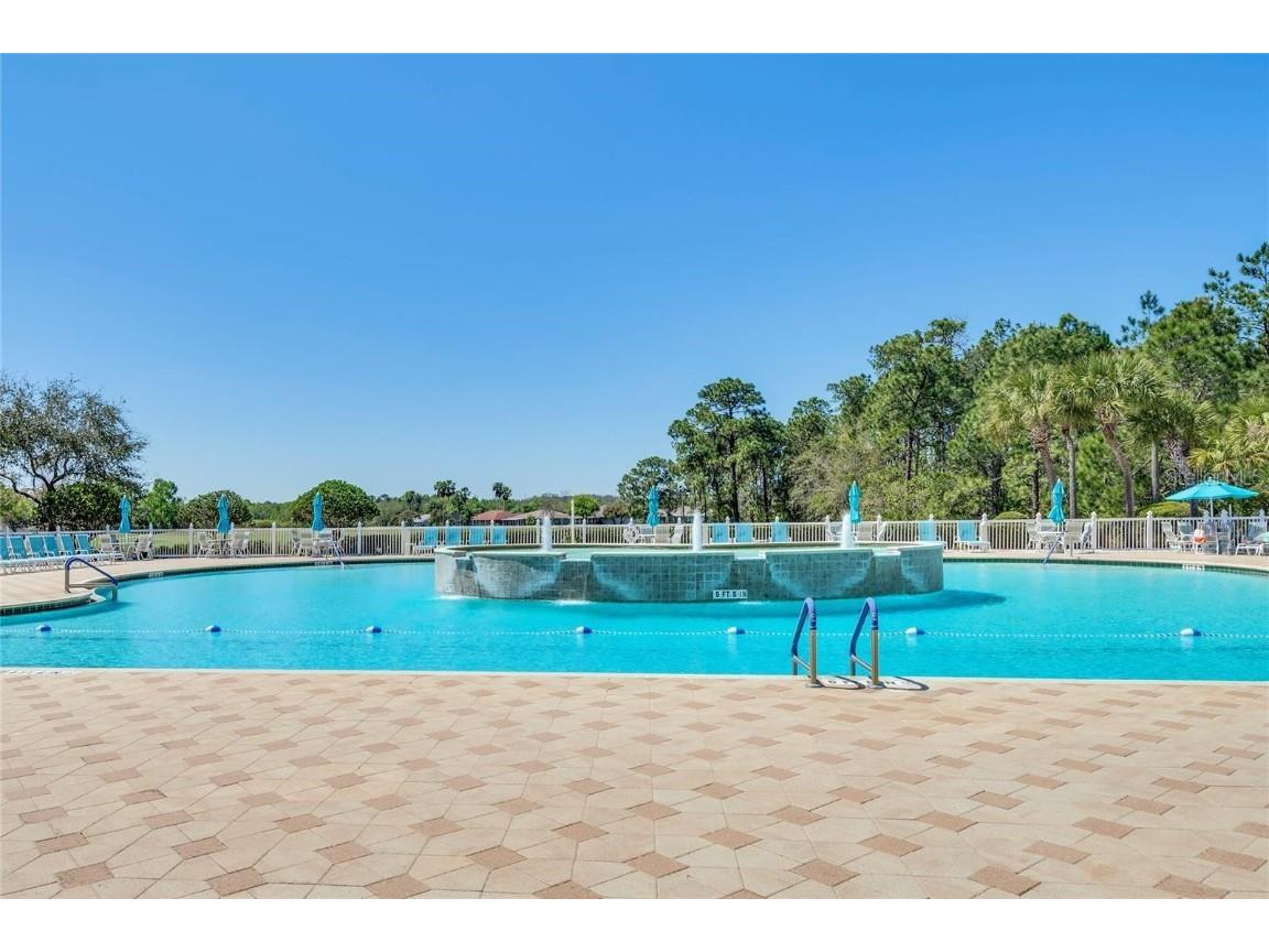 10048 Cleghorn Drive San Antonio FL 33576 TB8364923 image25