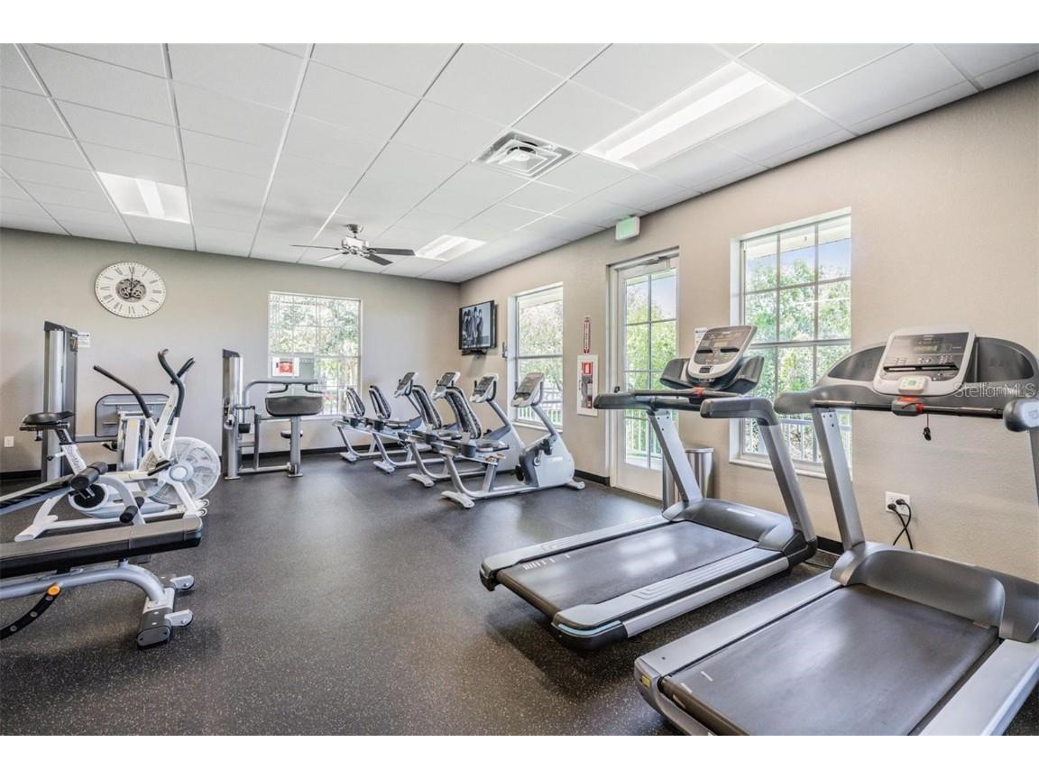 10048 Cleghorn Drive San Antonio FL 33576 TB8364923 image33