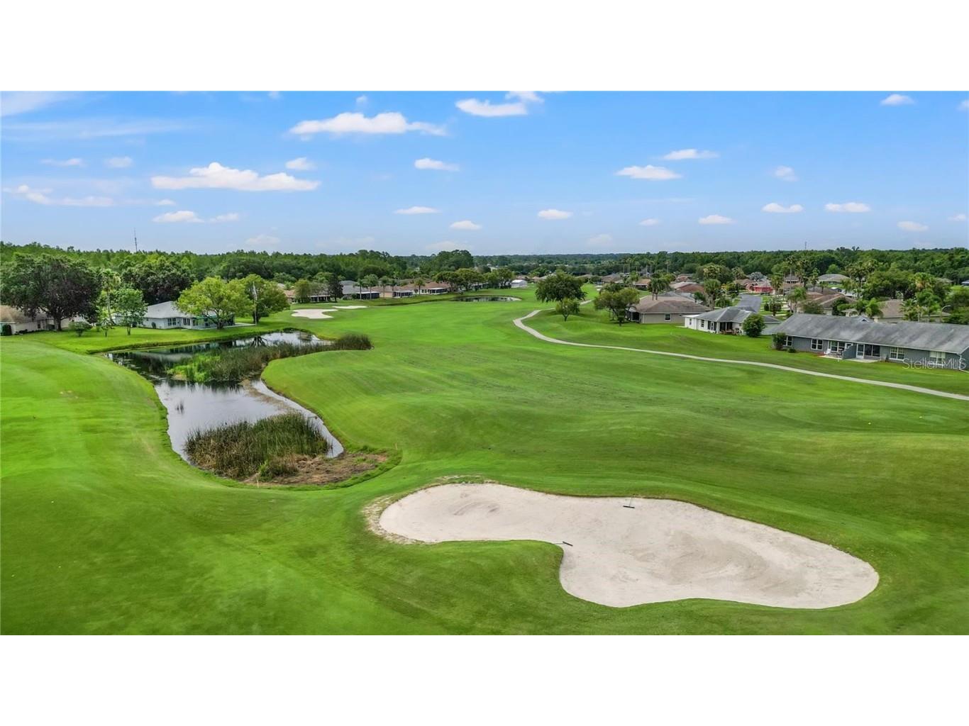 10048 Cleghorn Drive San Antonio FL 33576 TB8364923 image38