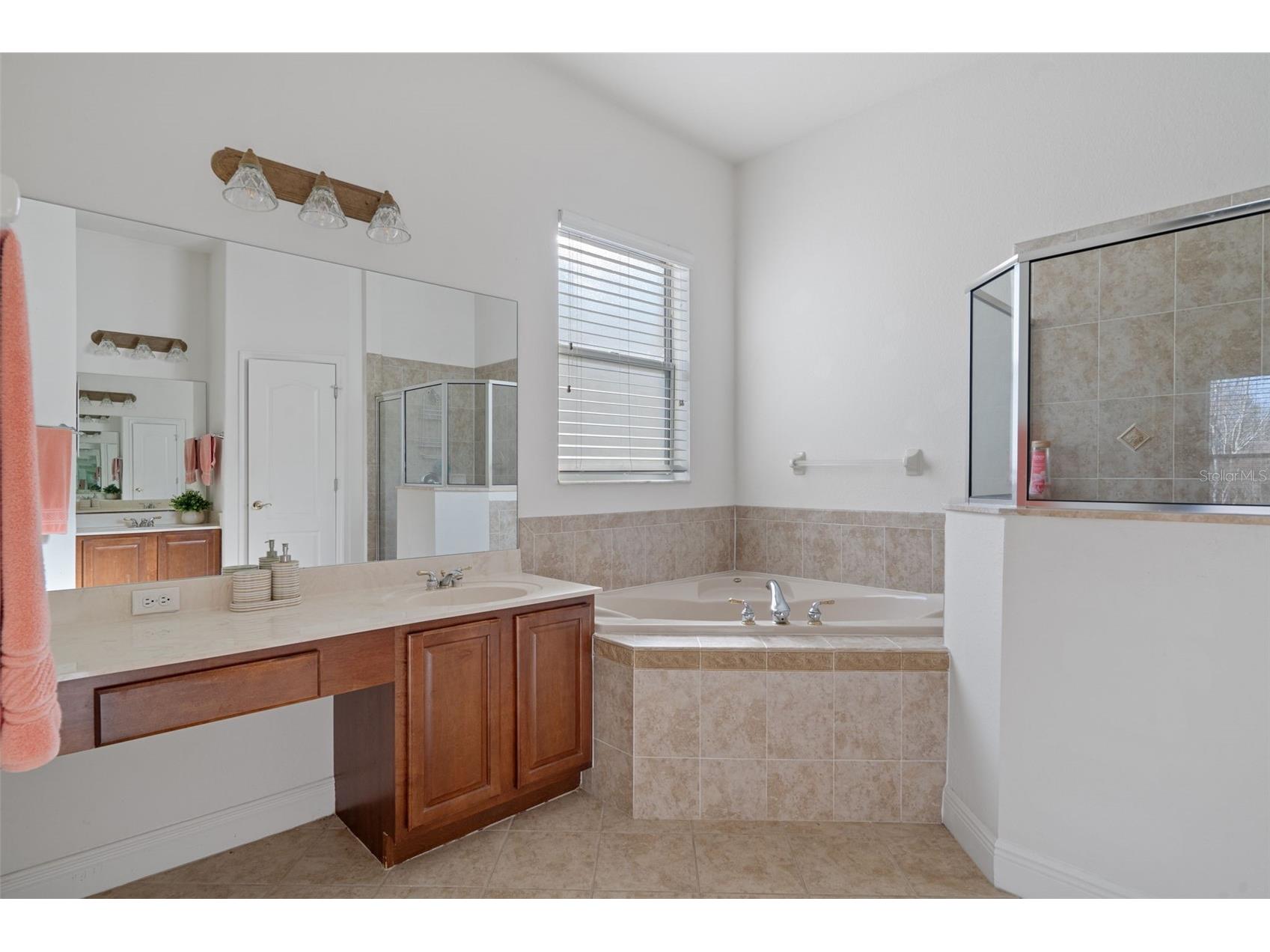 10048 Cleghorn Drive San Antonio FL 33576 TB8477054 image18
