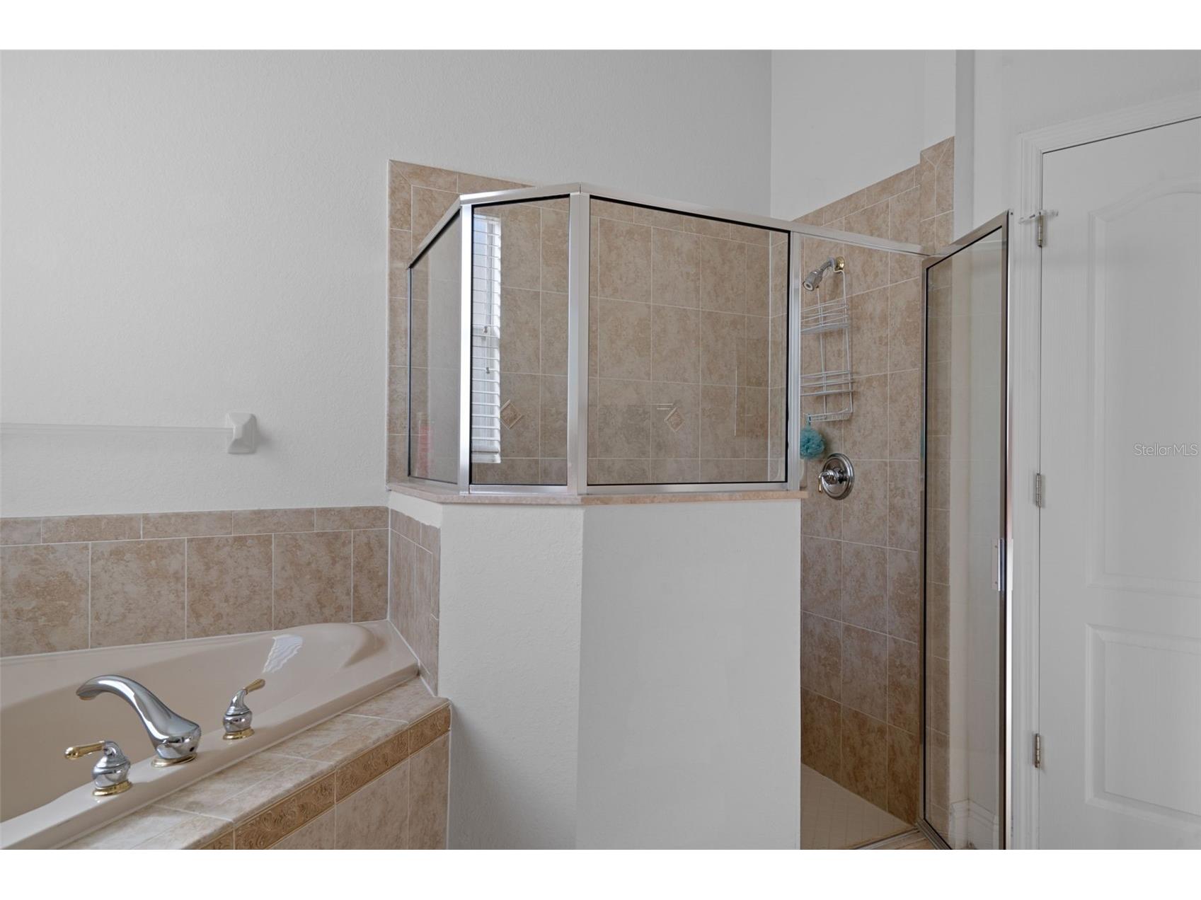 10048 Cleghorn Drive San Antonio FL 33576 TB8477054 image20