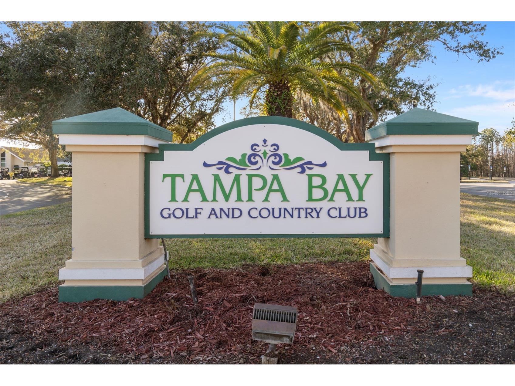 10048 Cleghorn Drive San Antonio FL 33576 TB8477054 image27