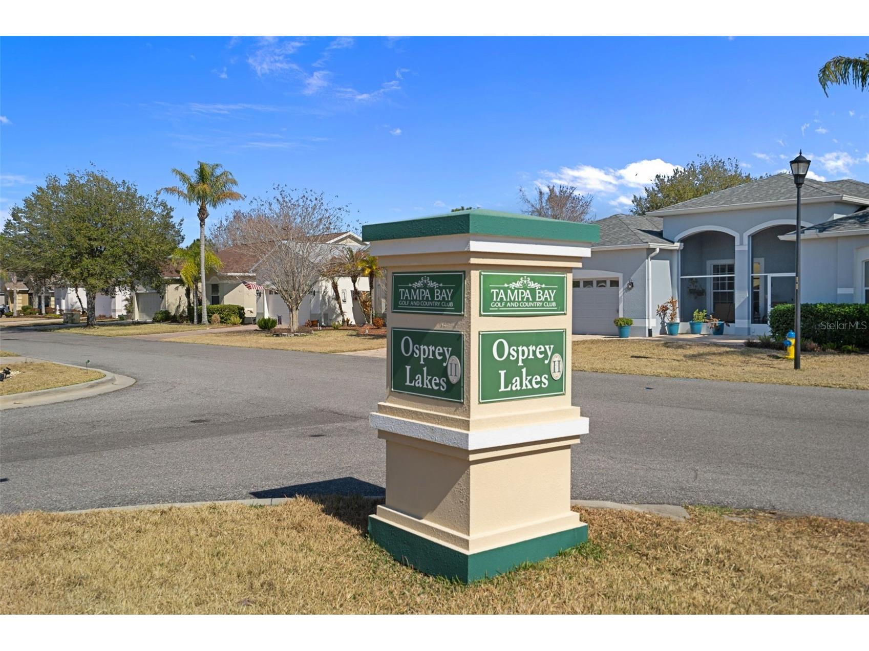 10048 Cleghorn Drive San Antonio FL 33576 TB8477054 image28