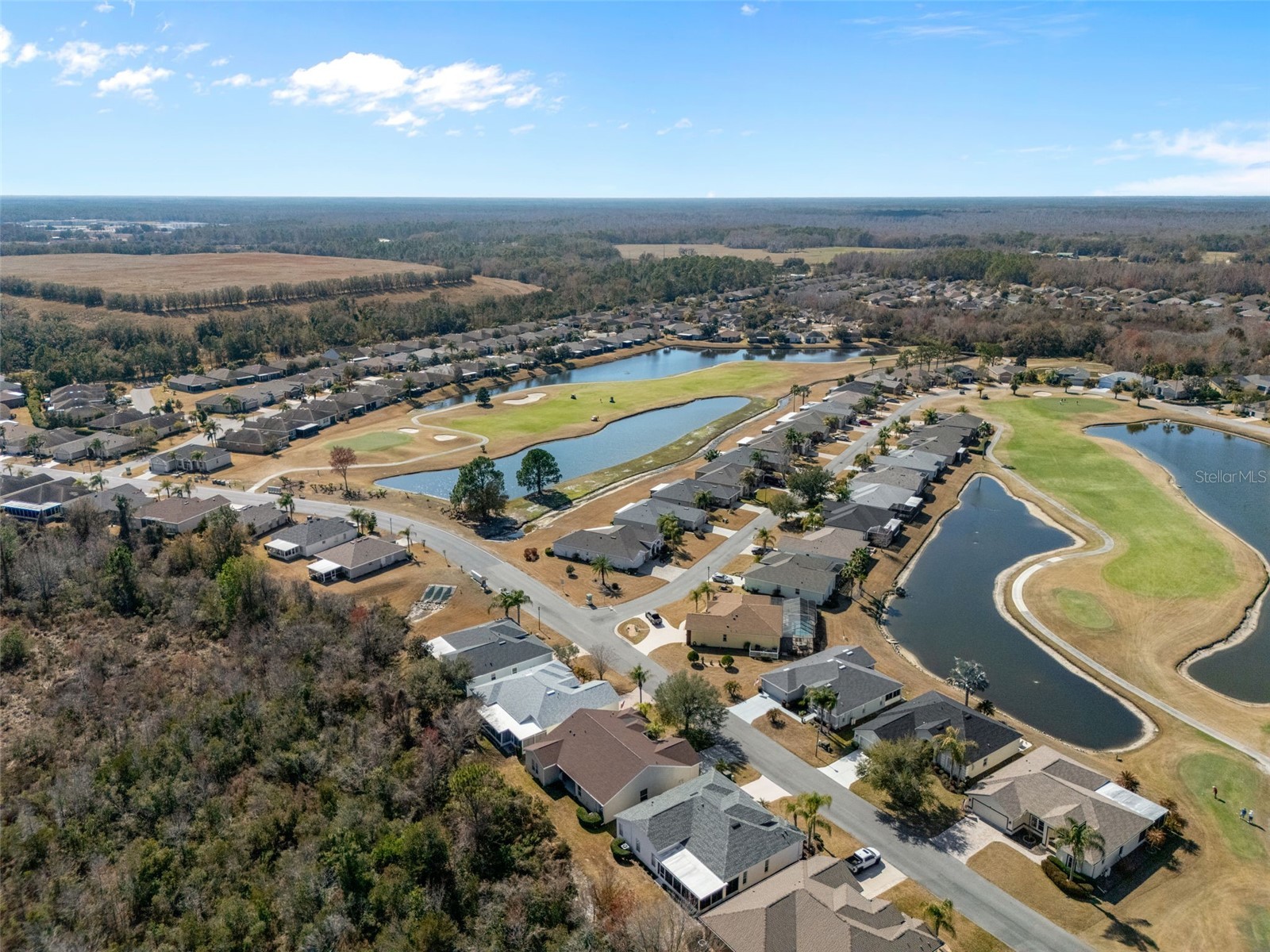 10048 Cleghorn Drive San Antonio FL 33576 TB8477054 image29
