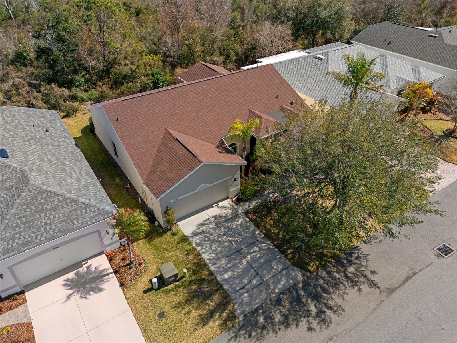 10048 Cleghorn Drive San Antonio FL 33576 TB8477054 image33