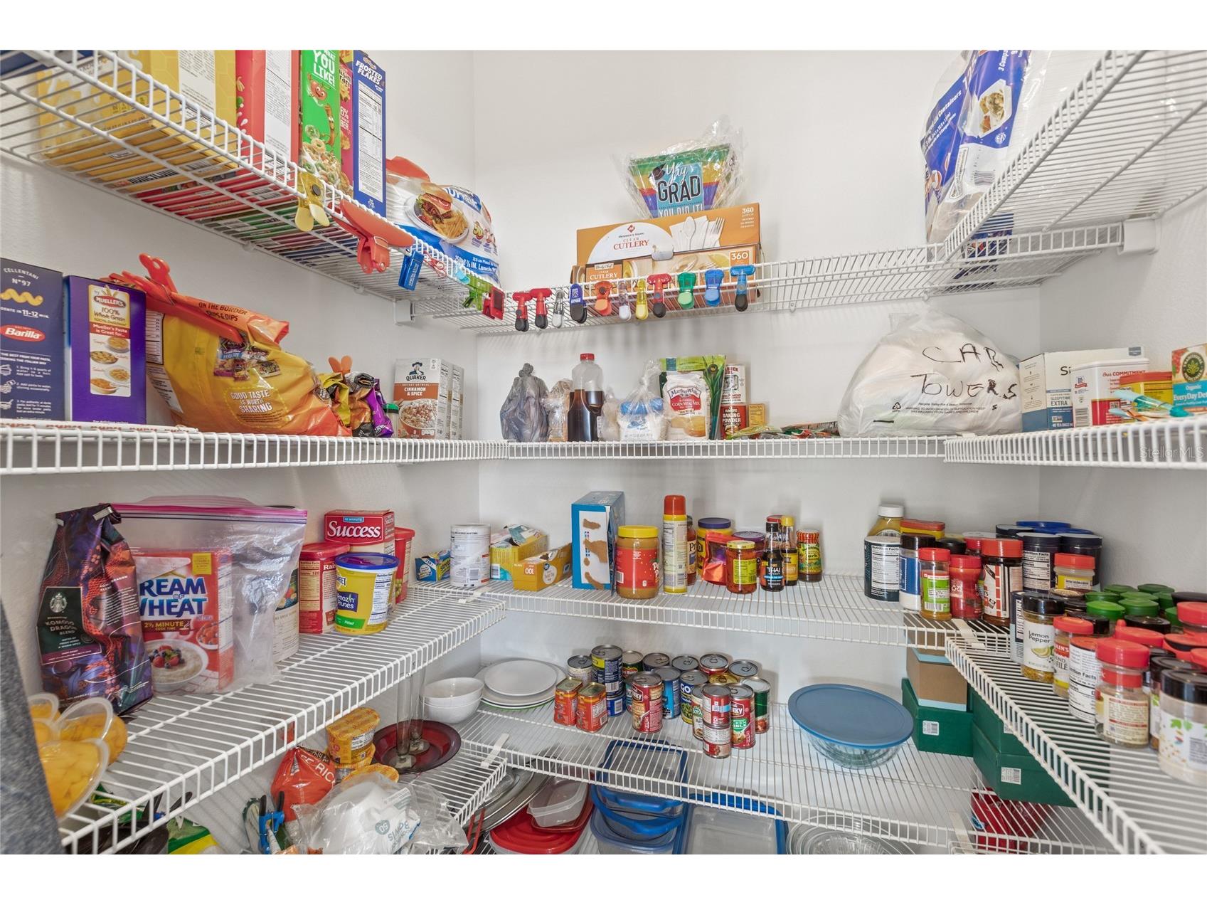 10048 Stratford Pointe Avenue Orlando FL 32832 O6335692 image12