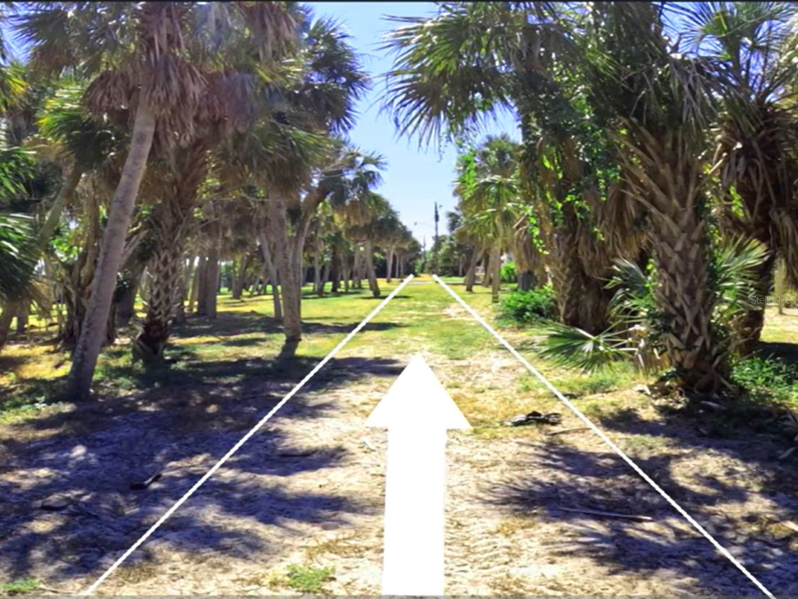 10049 Hel-Lew Court Placida FL 33946 C7522153 image7