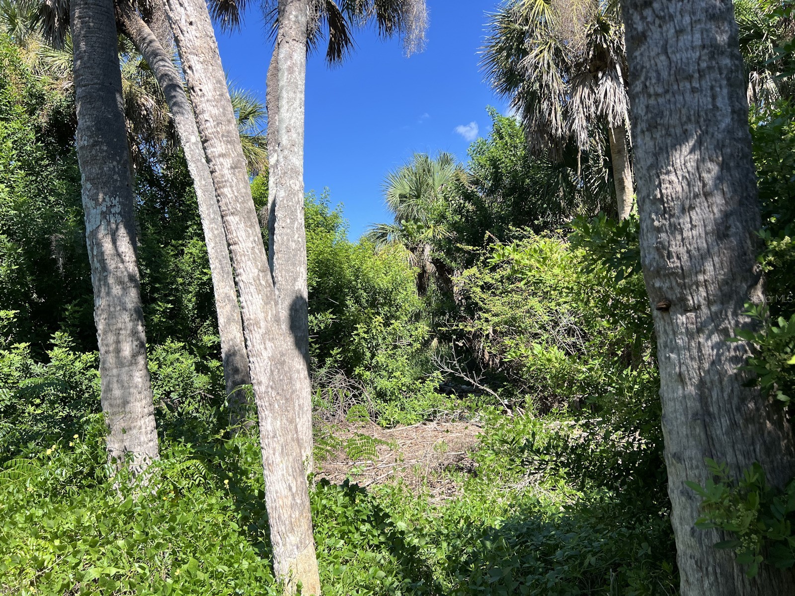 10049 Hel-Lew Court Placida FL 33946 C7522153 image8