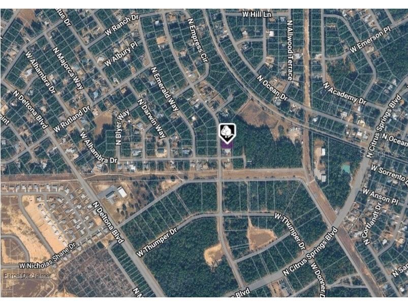 10049 N Biscayne Drive Citrus Springs FL 34434 OM718789 image3