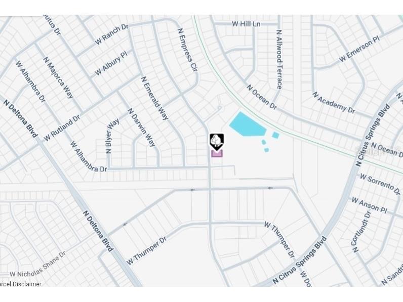 10049 N Biscayne Drive Citrus Springs FL 34434 OM718789 image5