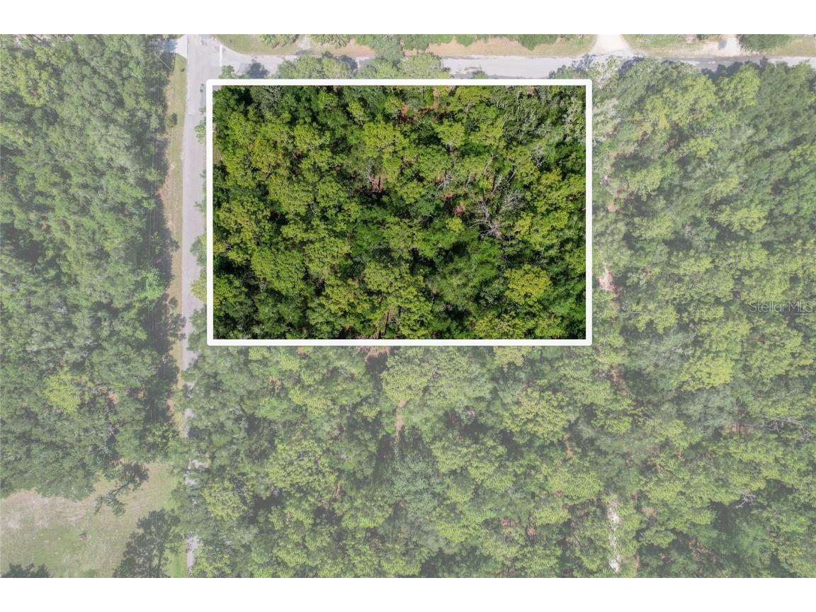 10049 N Sun City Terrace Dunnellon FL 34433 TB8410854 image1