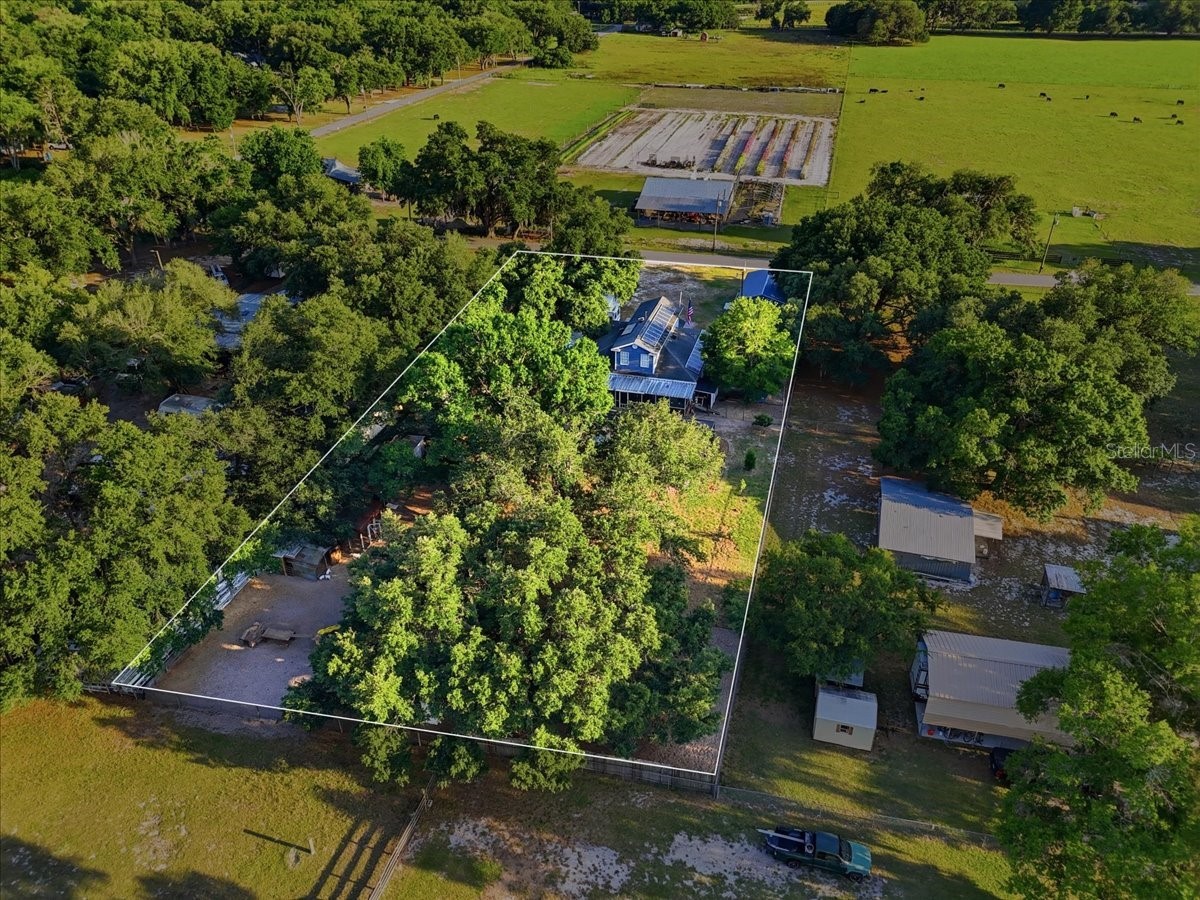 10049 Quinn Road Polk City FL 33868 L4961657 image66