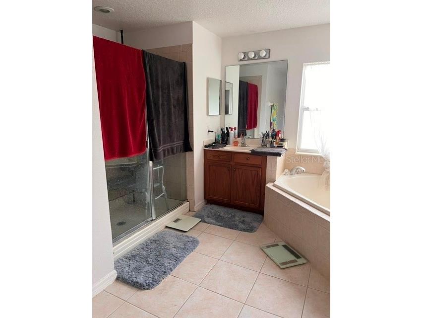 10049 Savannah Bluff Lane Orlando FL 32829 O6394108 image15