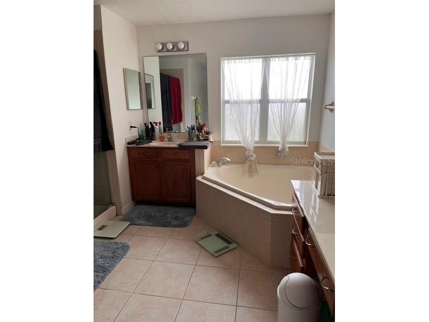 10049 Savannah Bluff Lane Orlando FL 32829 O6394108 image17