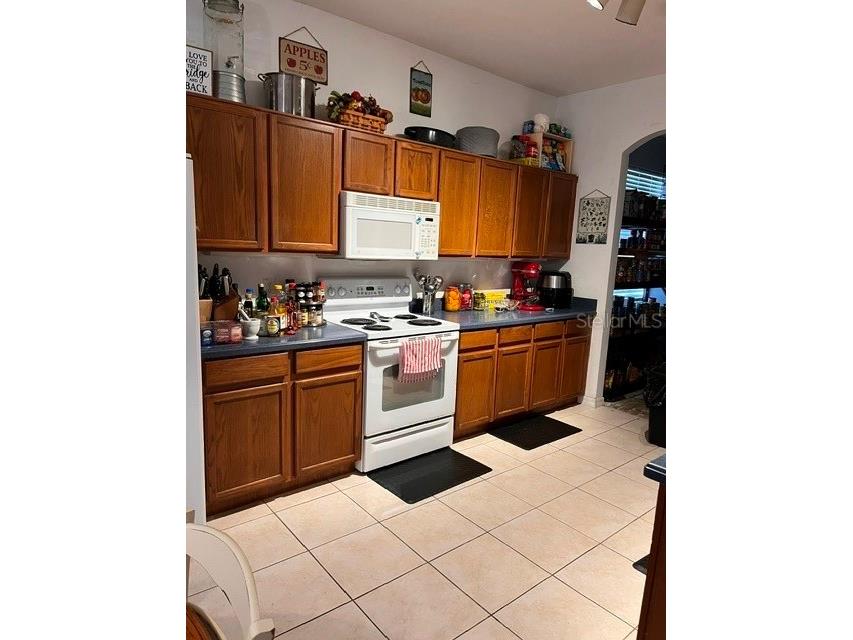 10049 Savannah Bluff Lane Orlando FL 32829 O6394108 image7