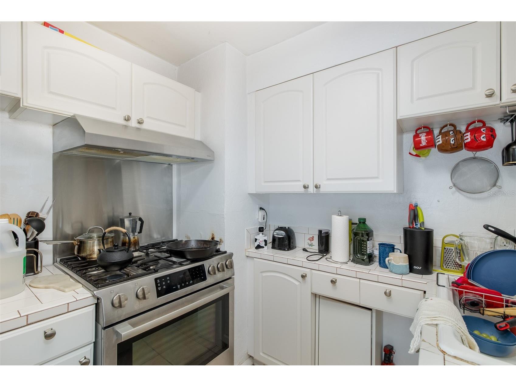 1005 15th Street N Saint Petersburg FL 33705 W7886982 image12