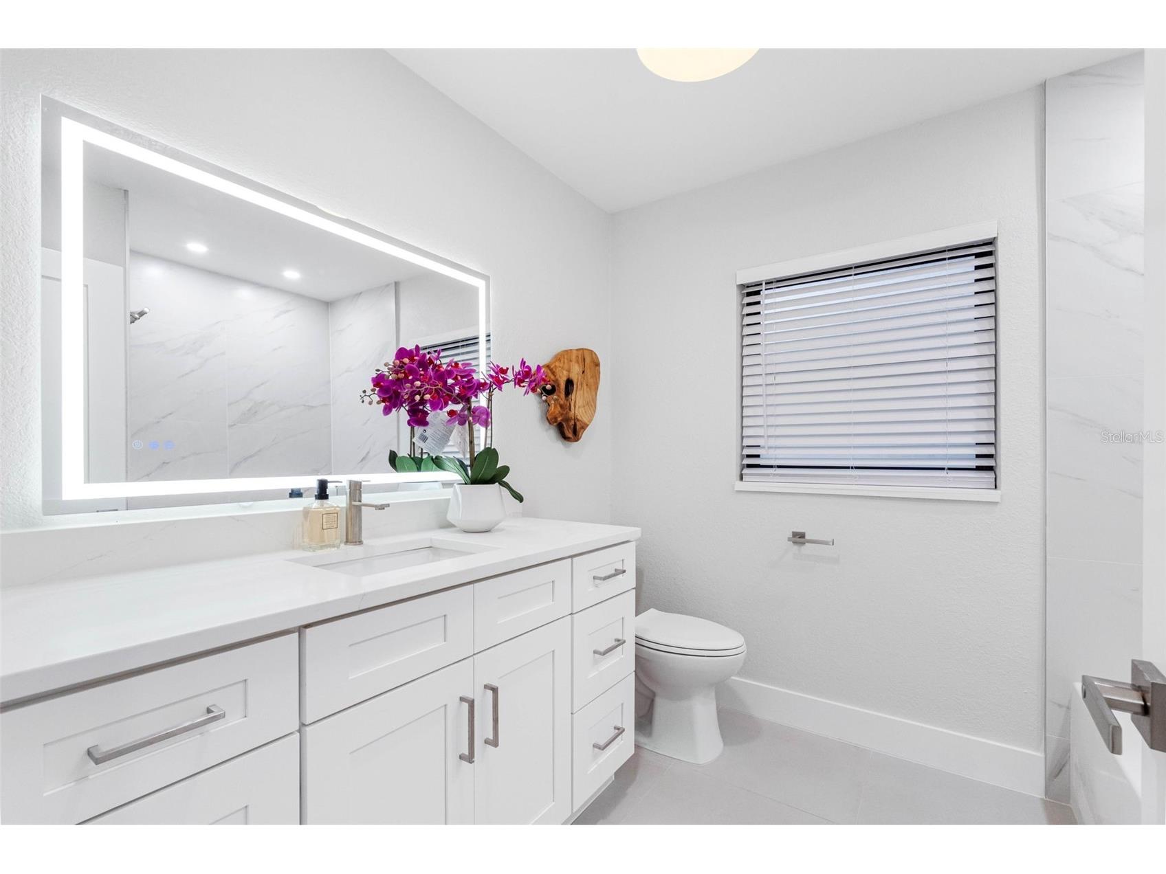 1005 Apache Trail Clearwater FL 33755 TB8506091 image21