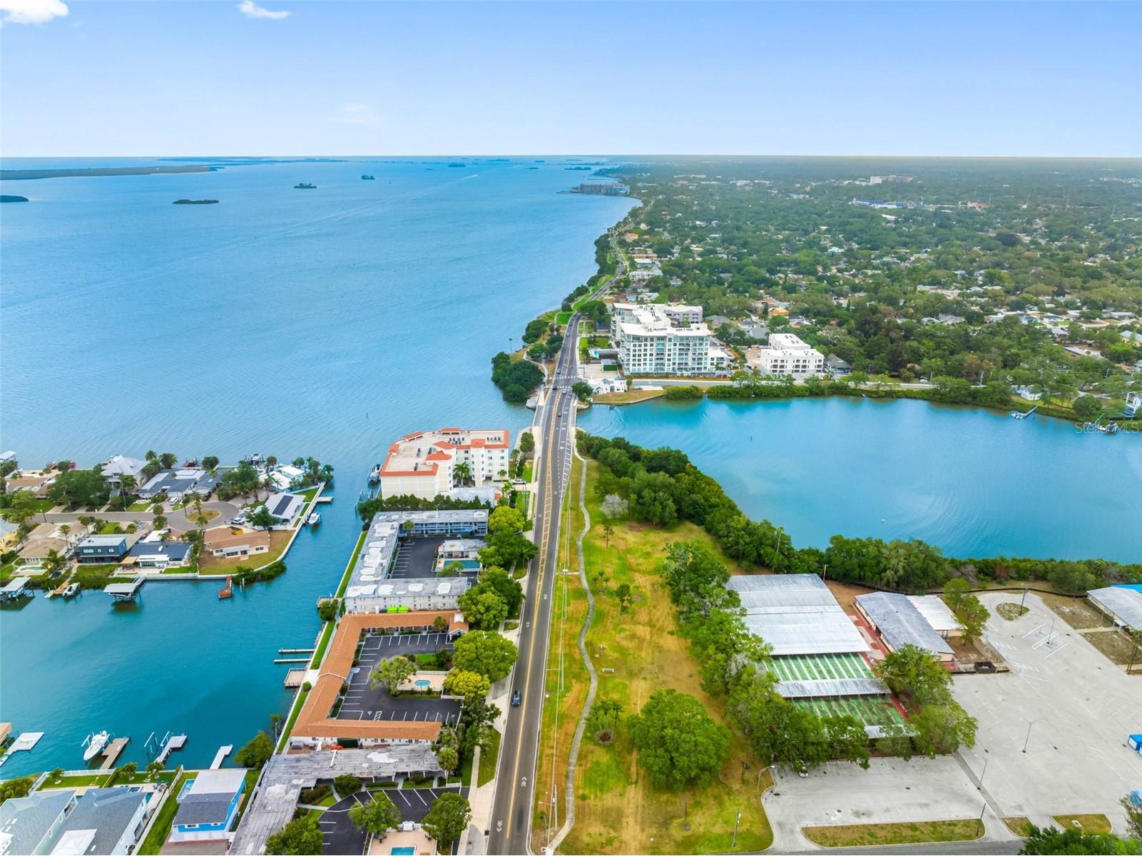 1005 Apache Trail Clearwater FL 33755 TB8506091 image33