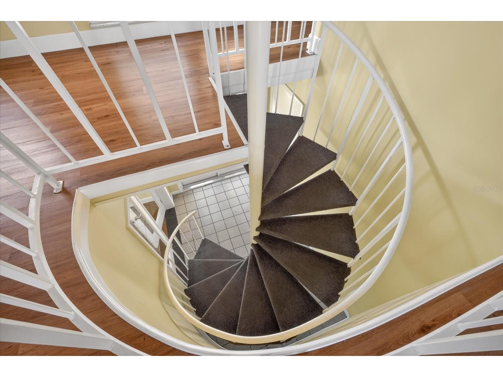 1005 Beaver Drive Tarpon Springs FL 34689 TB8502975 image22
