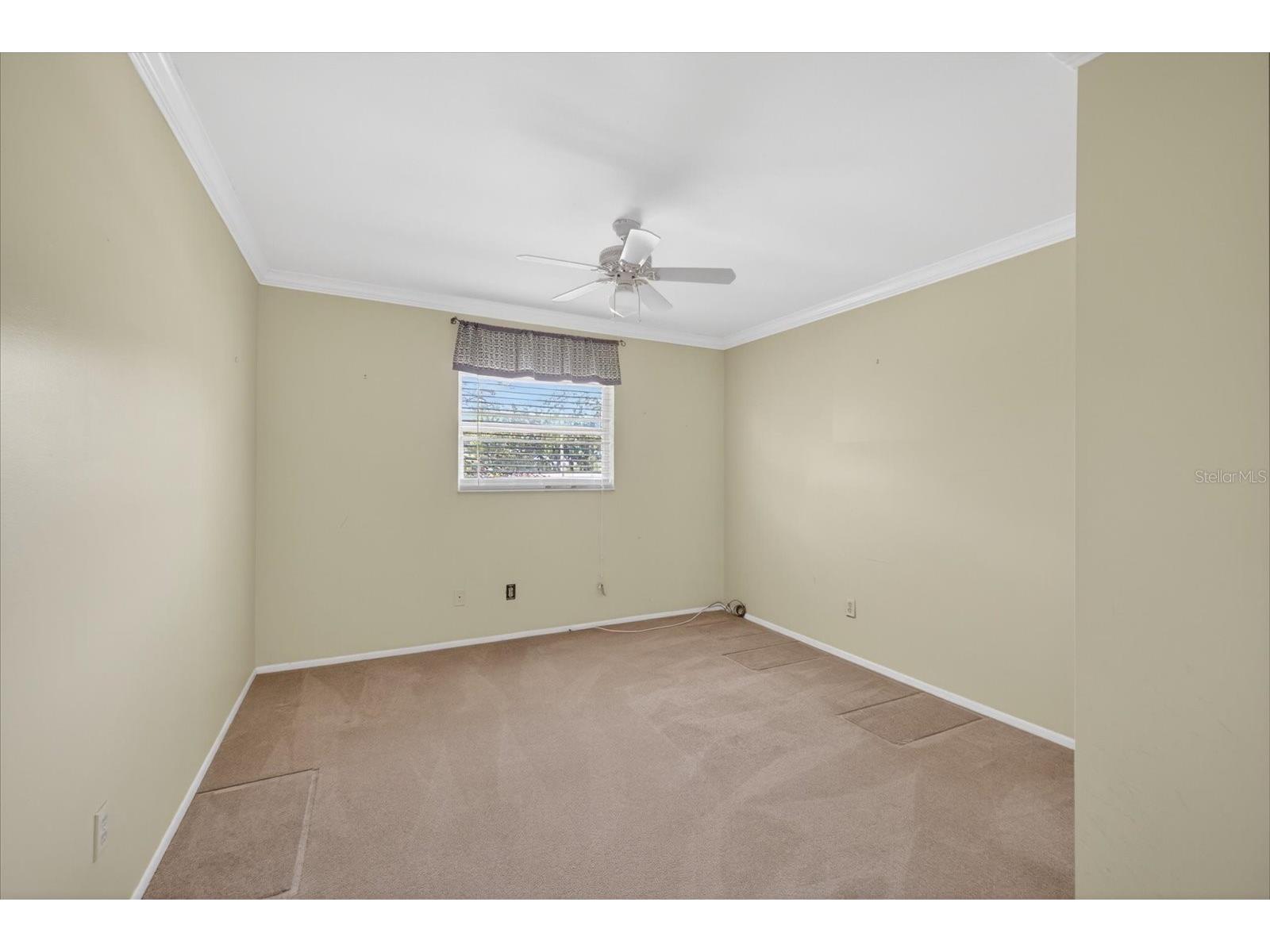 1005 Beaver Drive Tarpon Springs FL 34689 TB8502975 image41