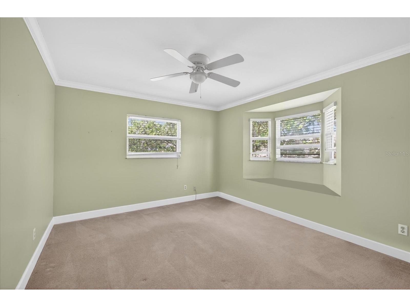 1005 Beaver Drive Tarpon Springs FL 34689 TB8502975 image43