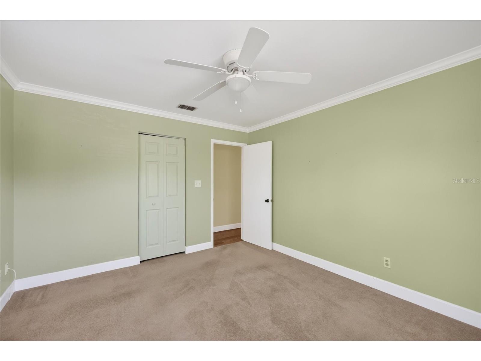 1005 Beaver Drive Tarpon Springs FL 34689 TB8502975 image44
