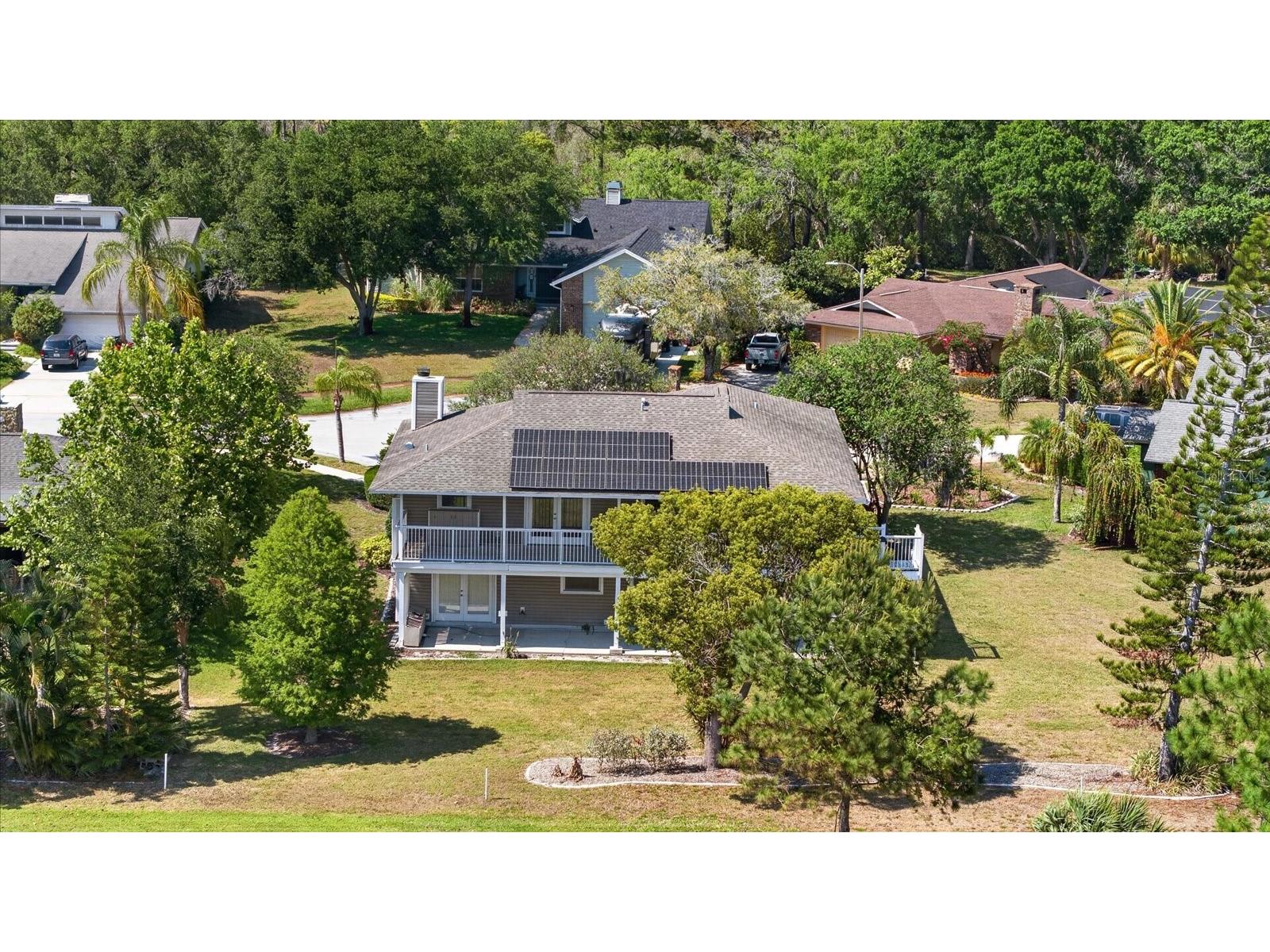 1005 Beaver Drive Tarpon Springs FL 34689 TB8502975 image5