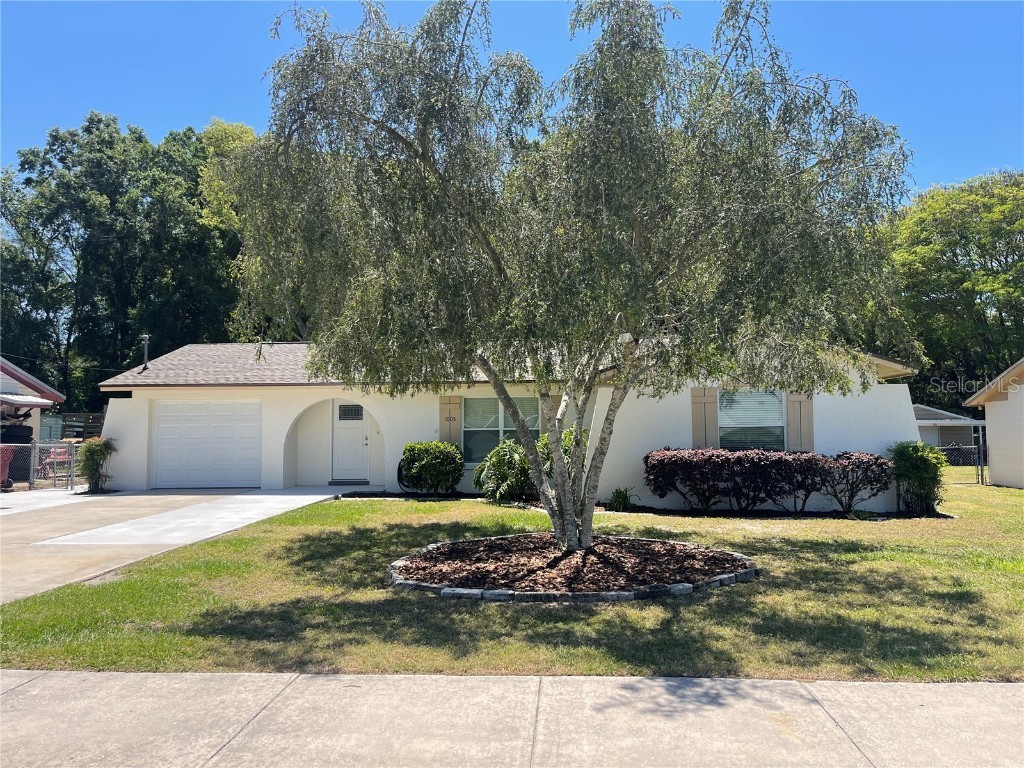 1005 Cason Street Plant City FL 33563 T3520065 image1