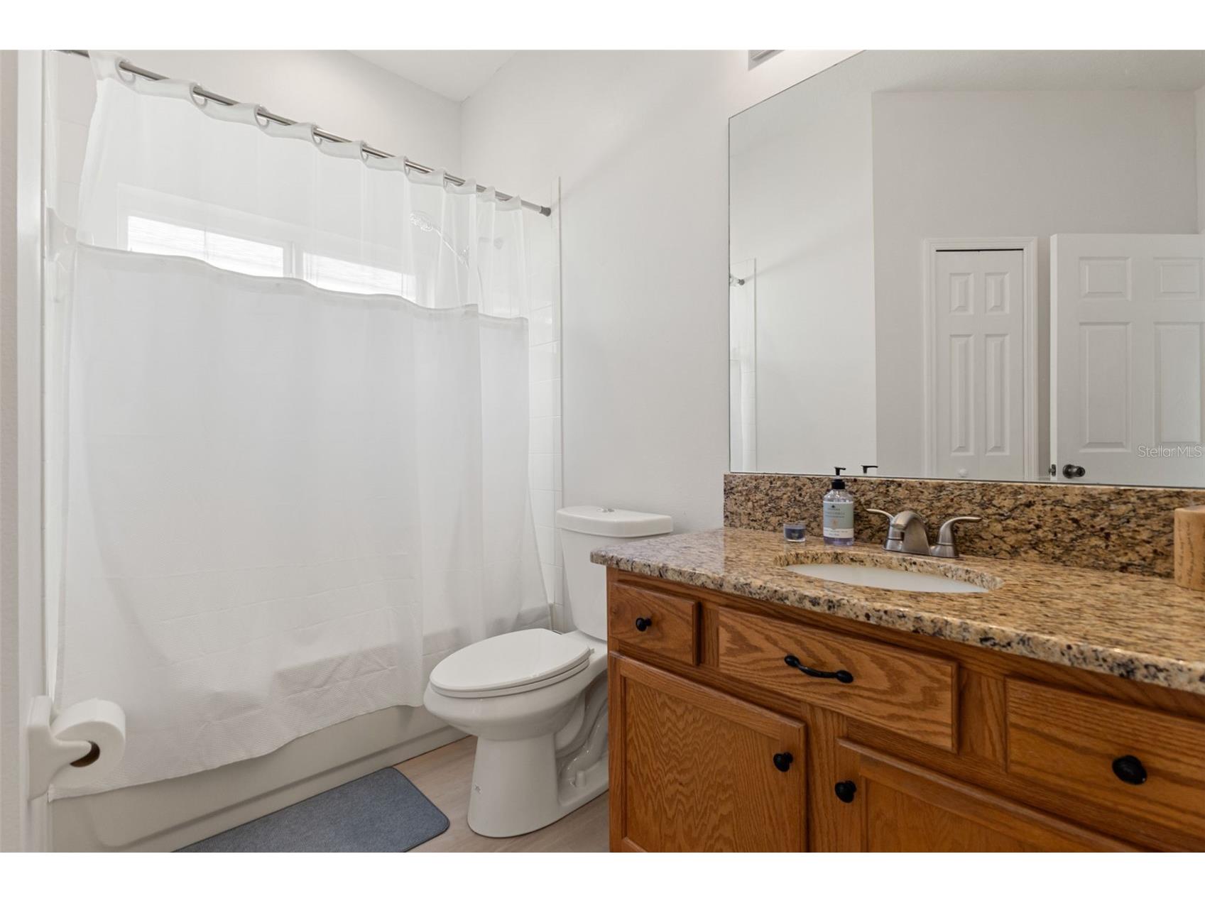 1005 Crystal Carbon Way Valrico FL 33594 TB8431928 image18