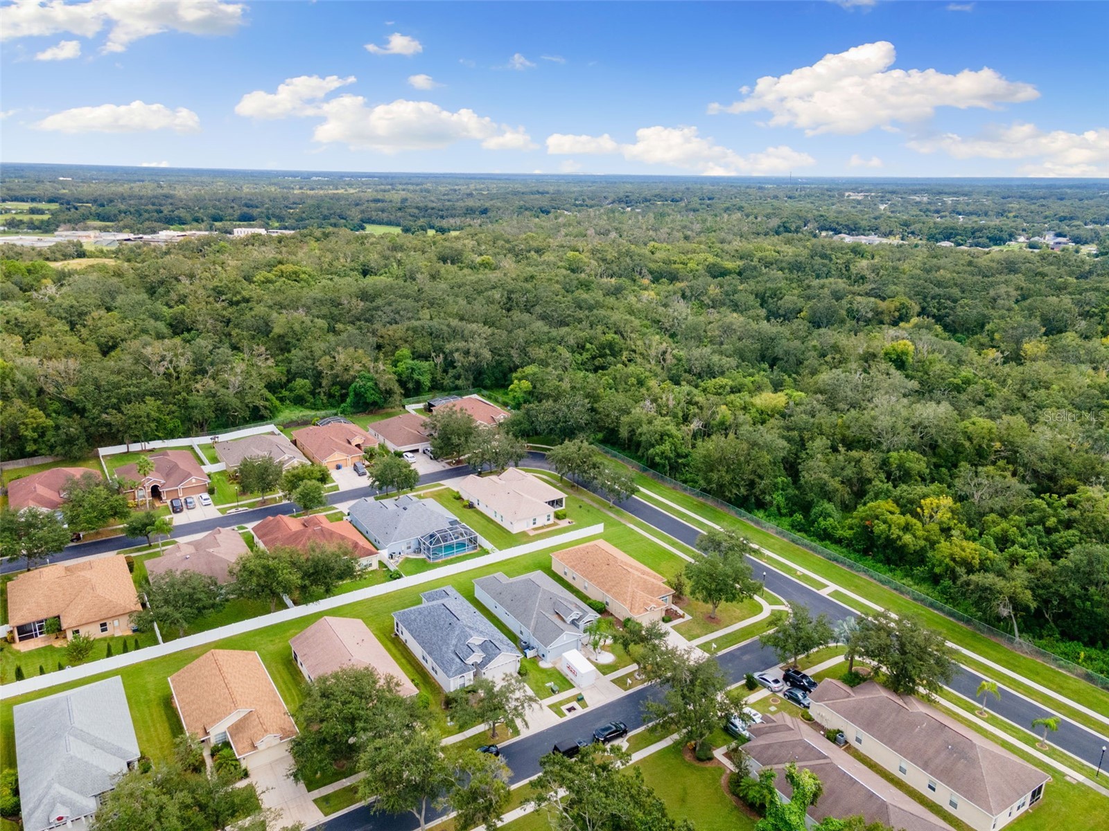 1005 Crystal Carbon Way Valrico FL 33594 TB8431928 image36