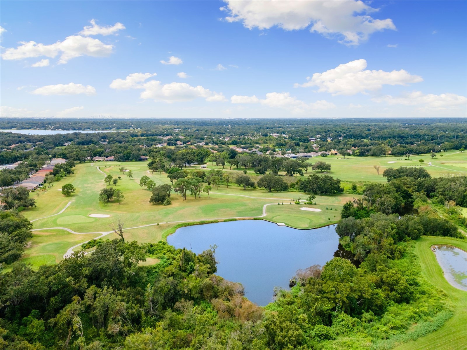 1005 Crystal Carbon Way Valrico FL 33594 TB8431928 image38