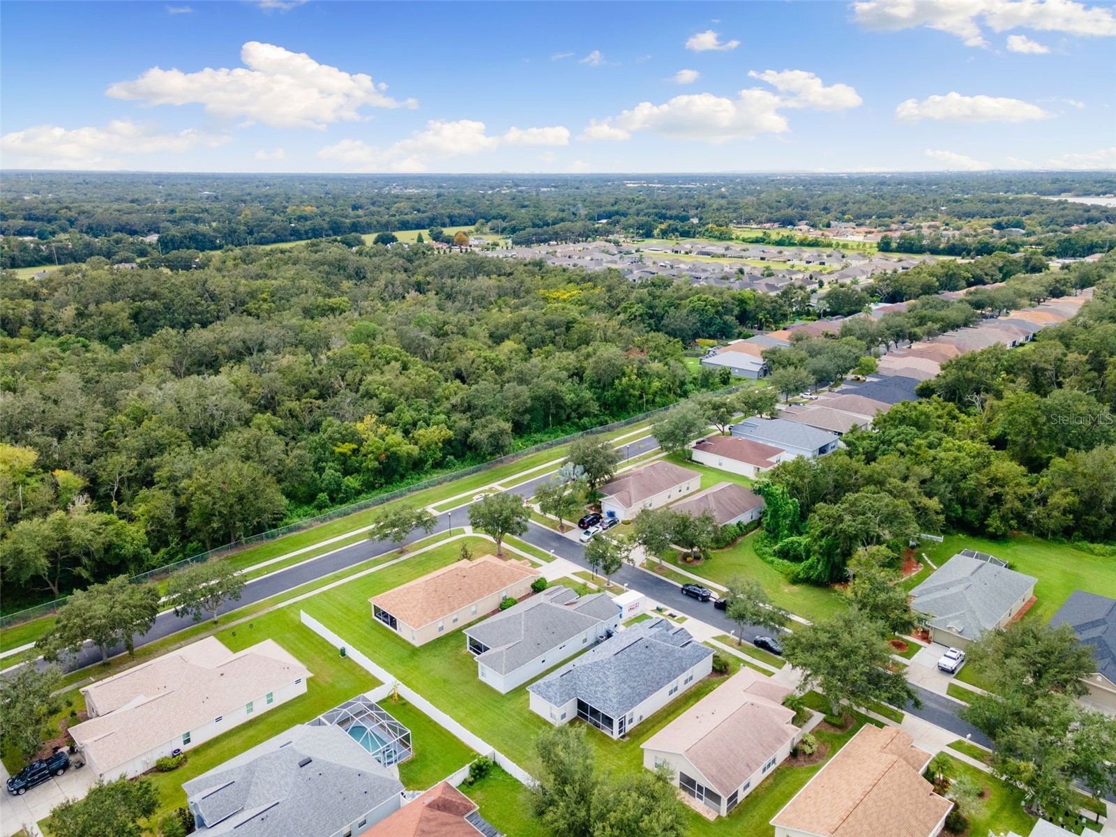 1005 Crystal Carbon Way Valrico FL 33594 TB8431928 image39