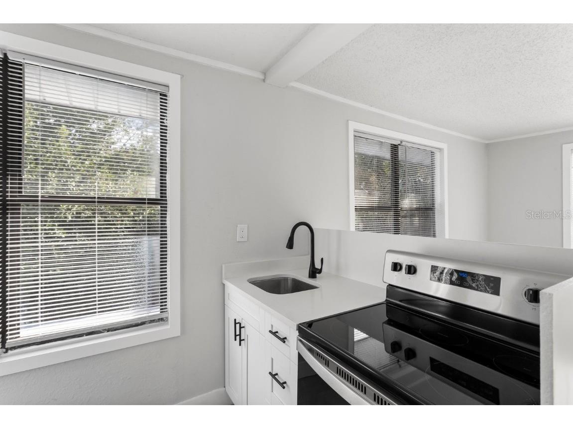 1005 E Lake Avenue #3 Tampa FL 33605 T3419357 image1