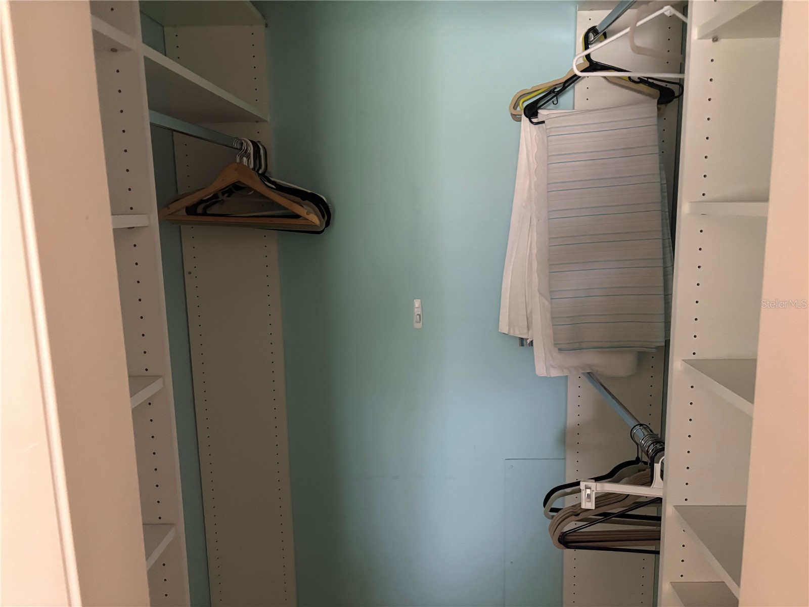 1005 Egret Court Dunedin FL 34698 TB8508207 image15