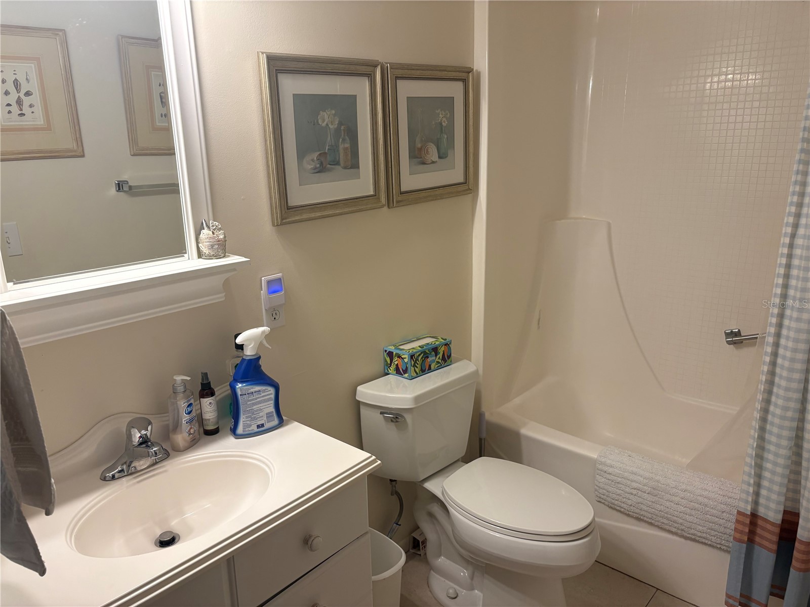 1005 Egret Court Dunedin FL 34698 TB8508207 image16
