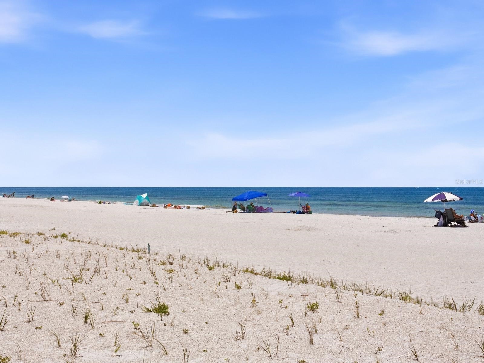 1005 Gulf Boulevard #10 Indian Rocks Beach FL 33785 - GULF OF AMERICA TB8507544 image49