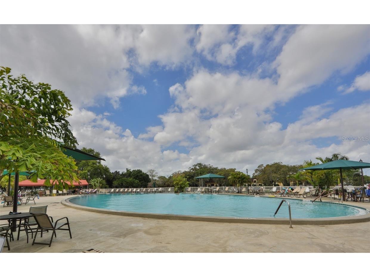 1005 Harefield Circle #43 Sun City Center FL 33573 TB8412931 image32