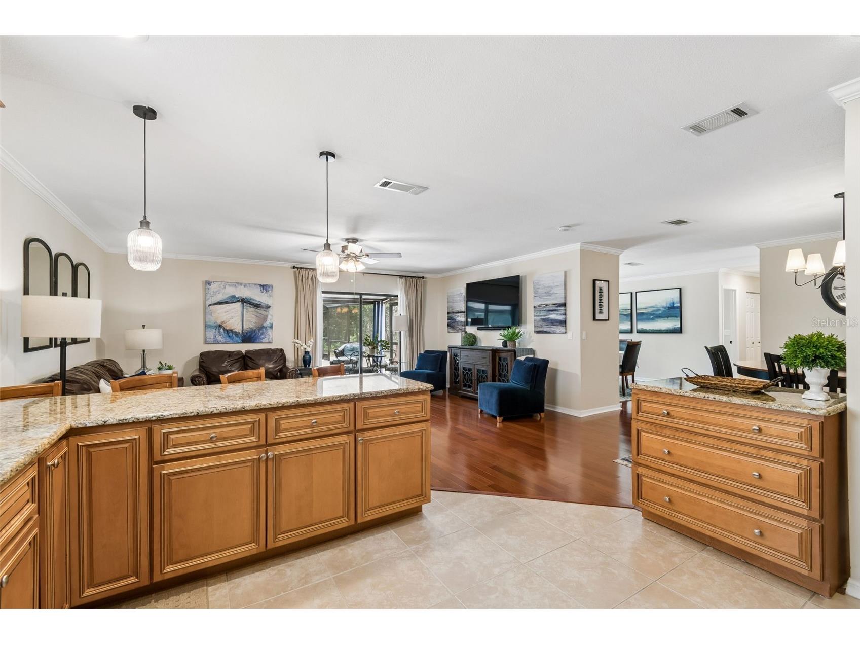 1005 Highgrove Court Valrico FL 33596 TB8506540 image23