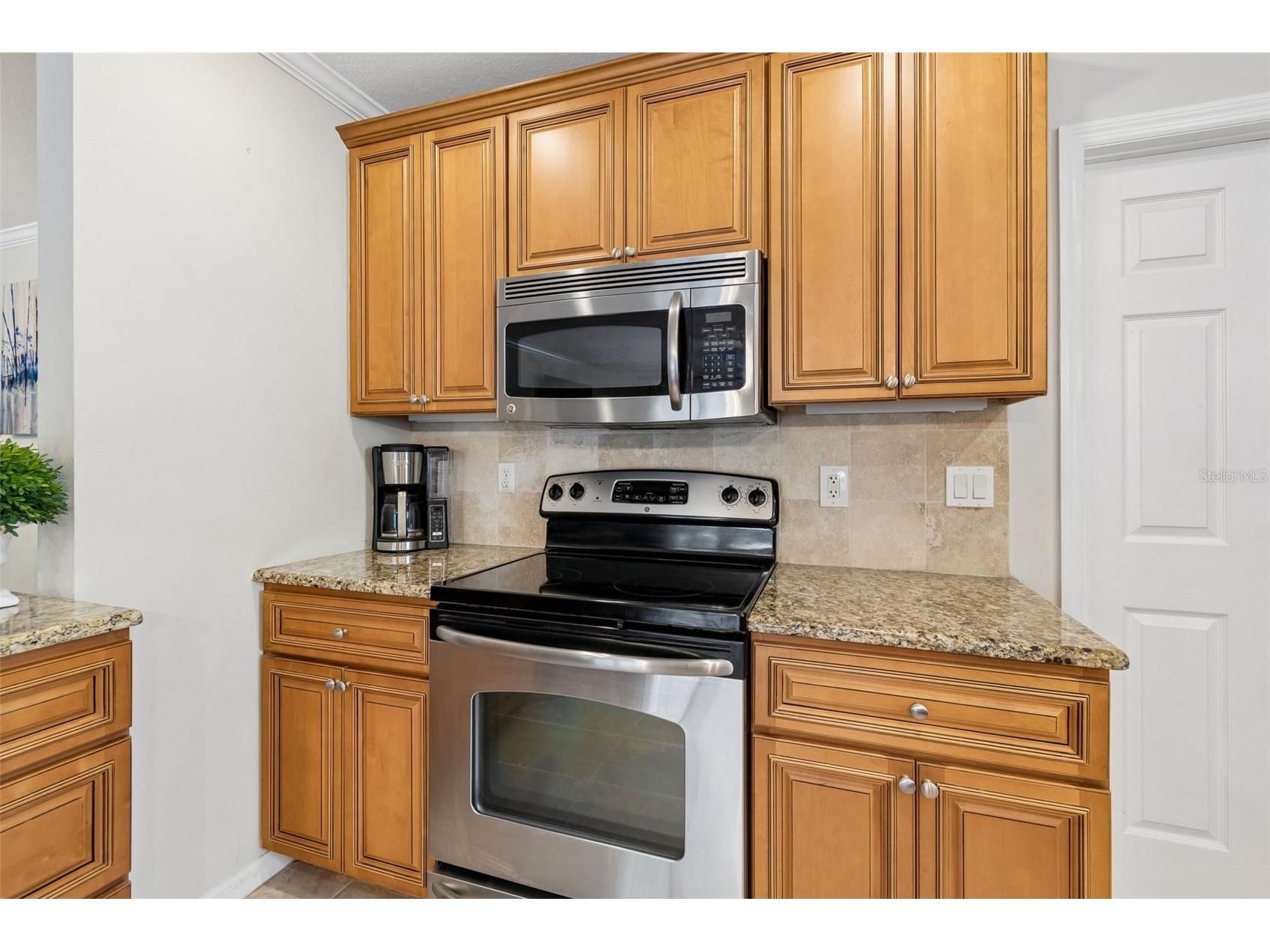 1005 Highgrove Court Valrico FL 33596 TB8506540 image25
