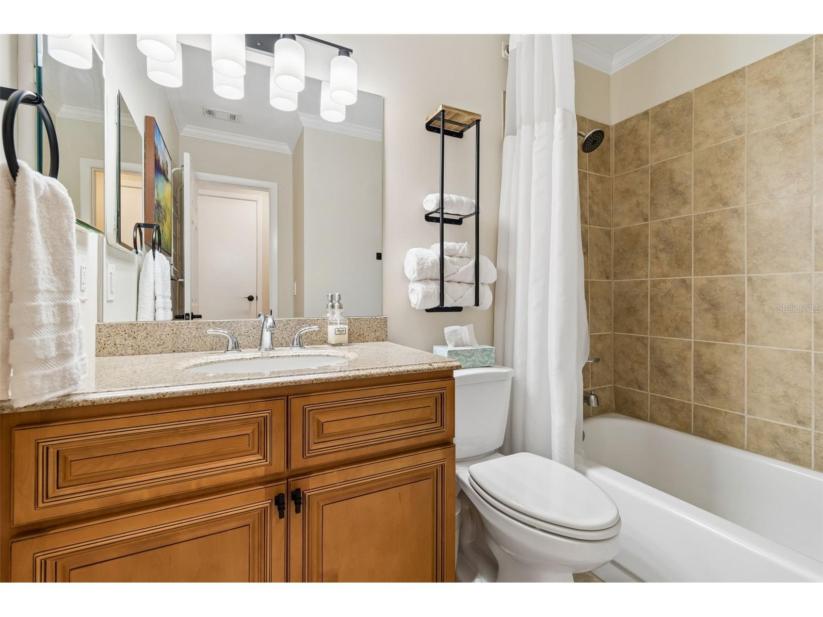 1005 Highgrove Court Valrico FL 33596 TB8506540 image29