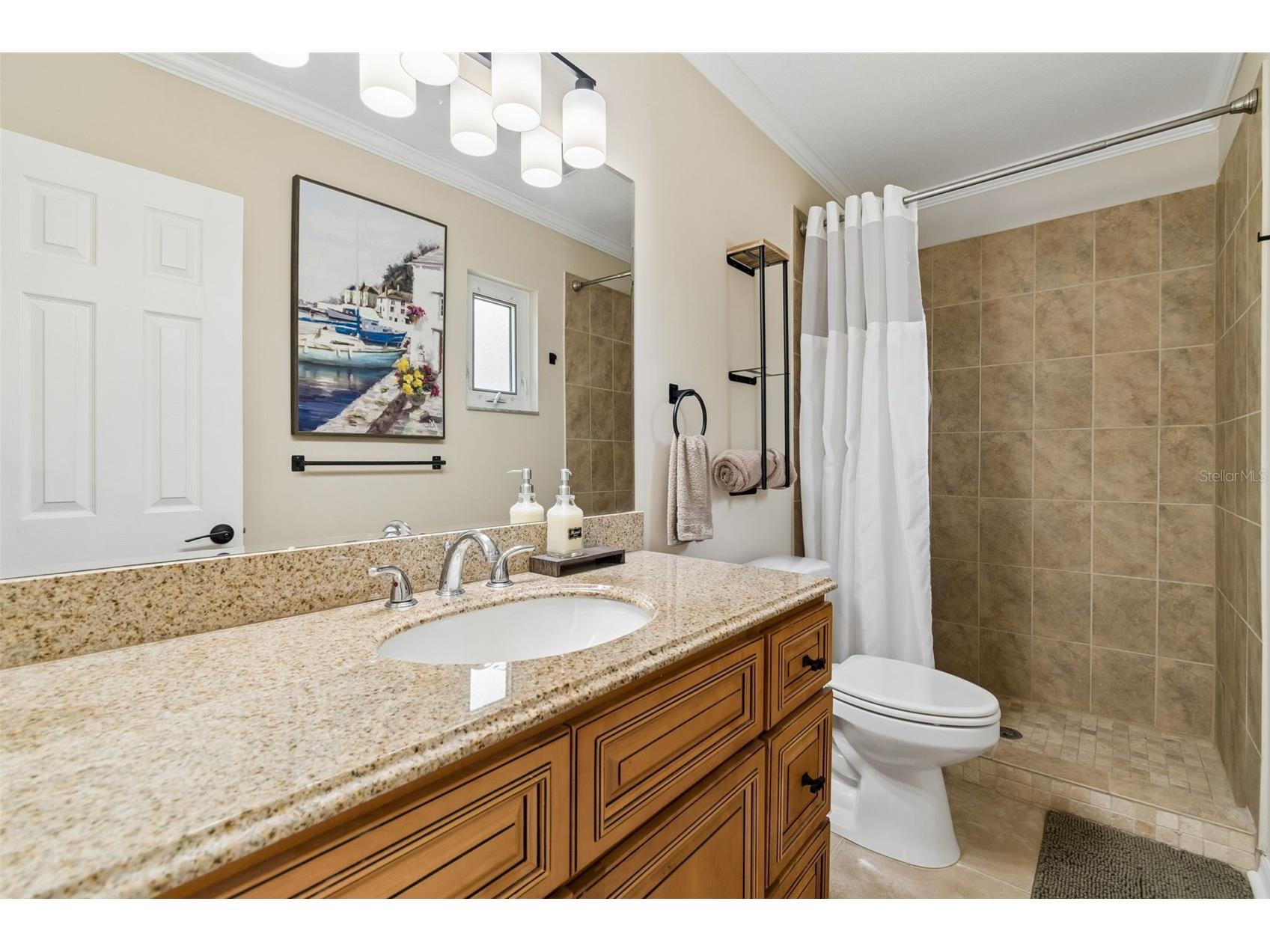 1005 Highgrove Court Valrico FL 33596 TB8506540 image34