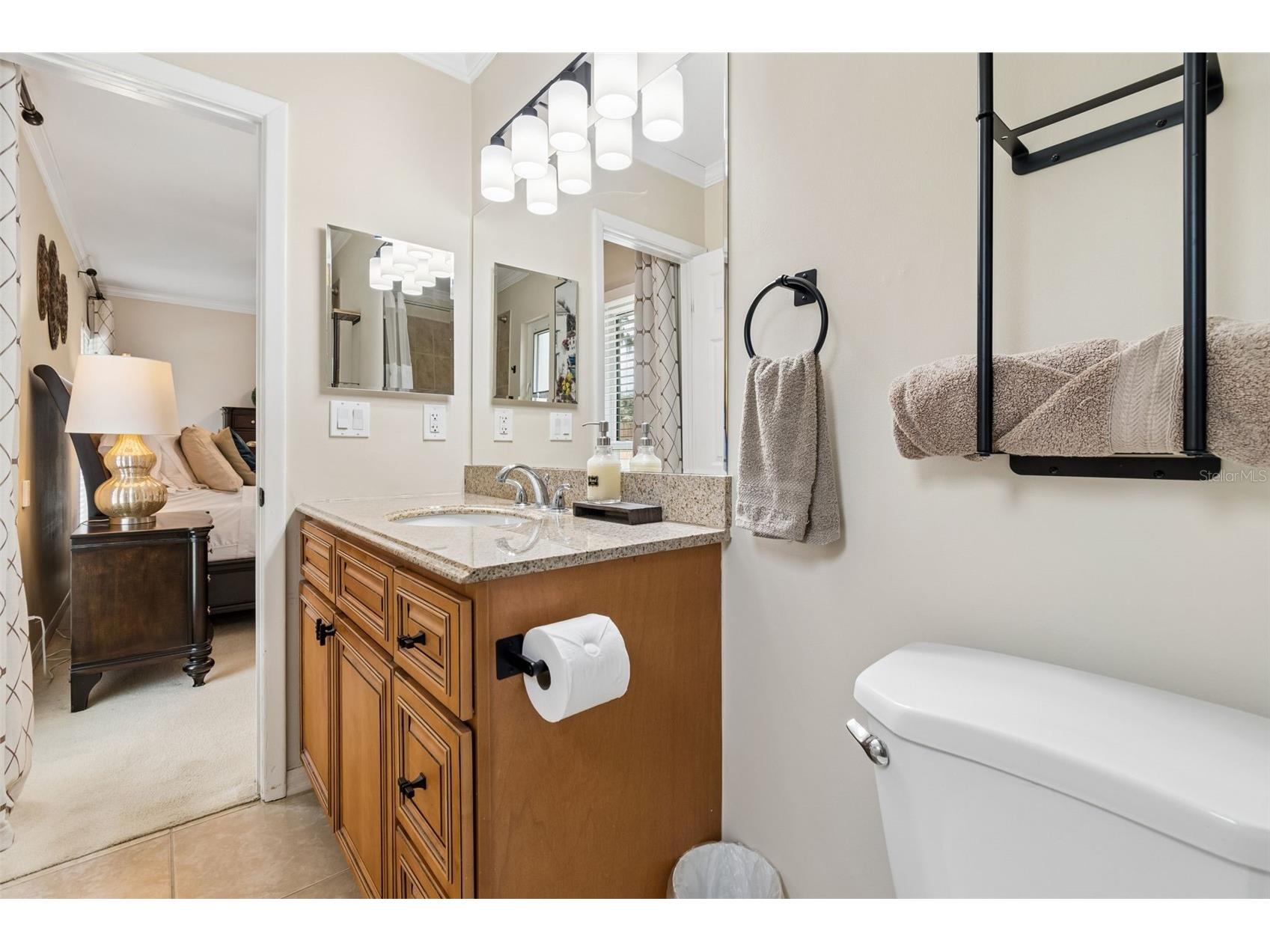 1005 Highgrove Court Valrico FL 33596 TB8506540 image36