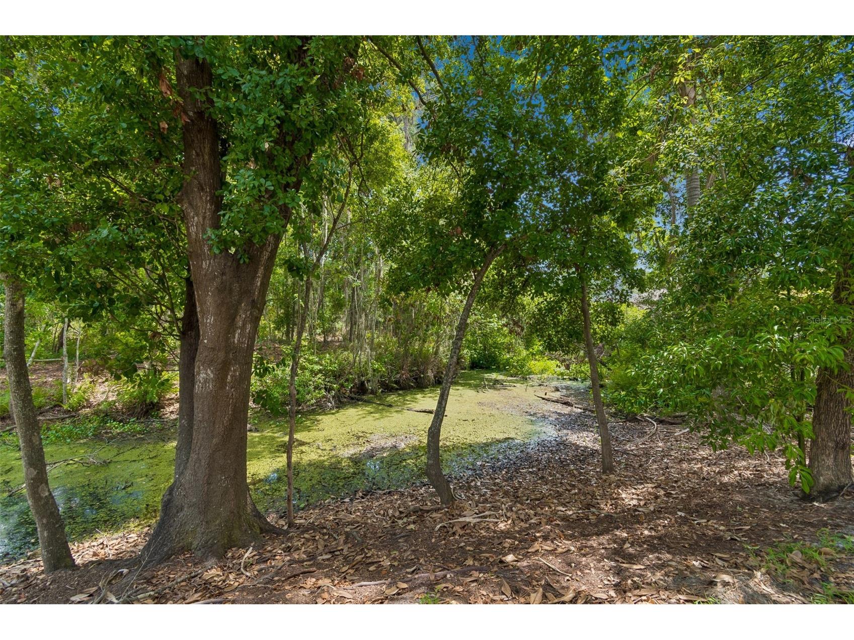 1005 Highgrove Court Valrico FL 33596 TB8506540 image48