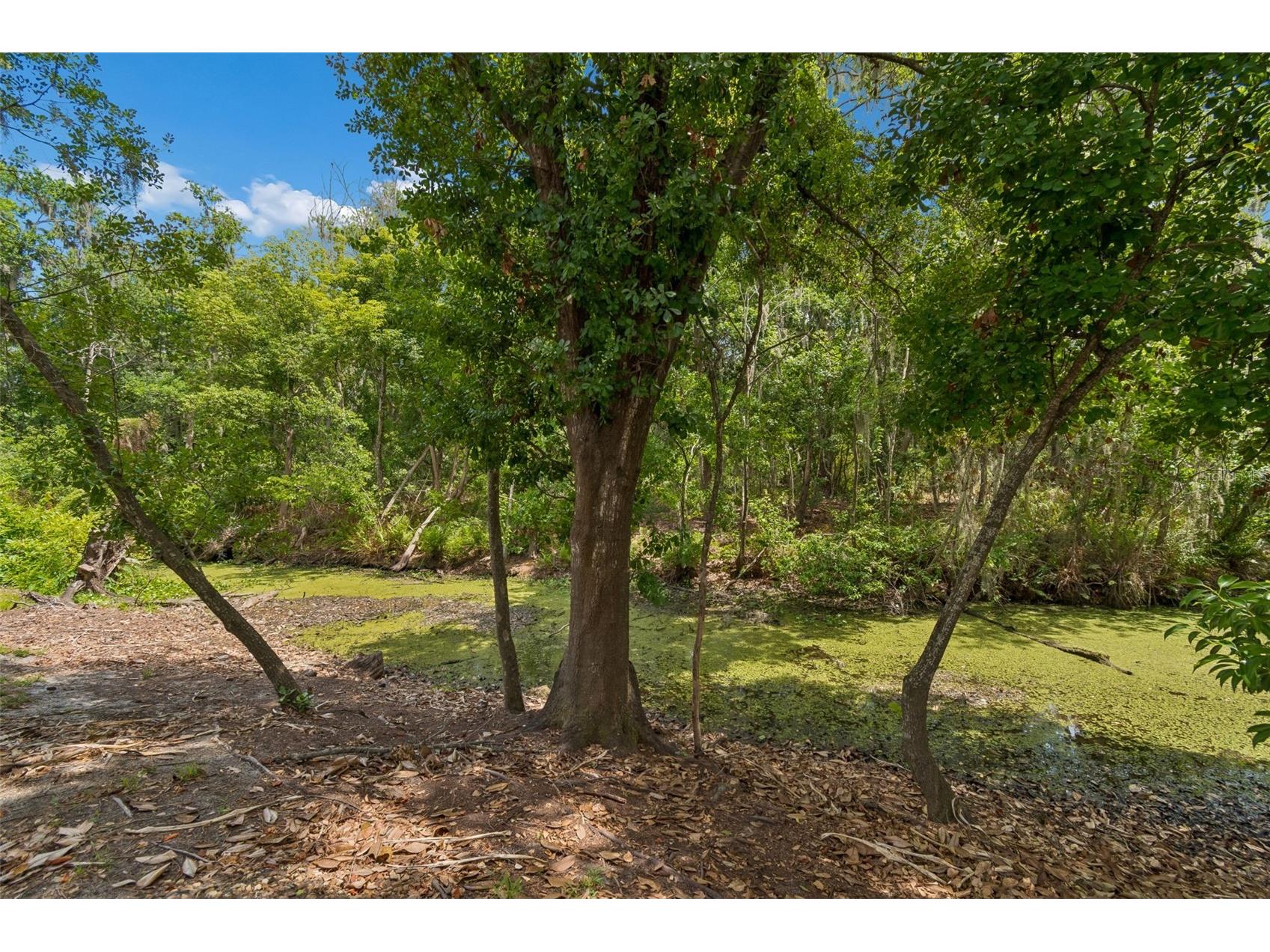 1005 Highgrove Court Valrico FL 33596 TB8506540 image49