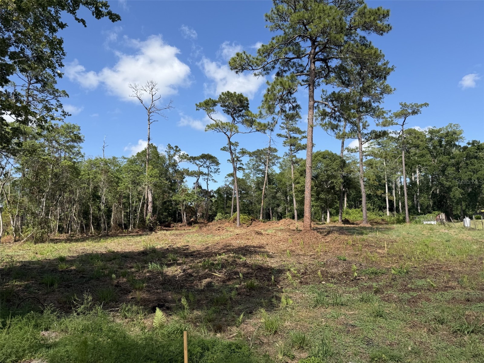 1005 Juniper Drive Christmas FL 32709 O6411099 image1