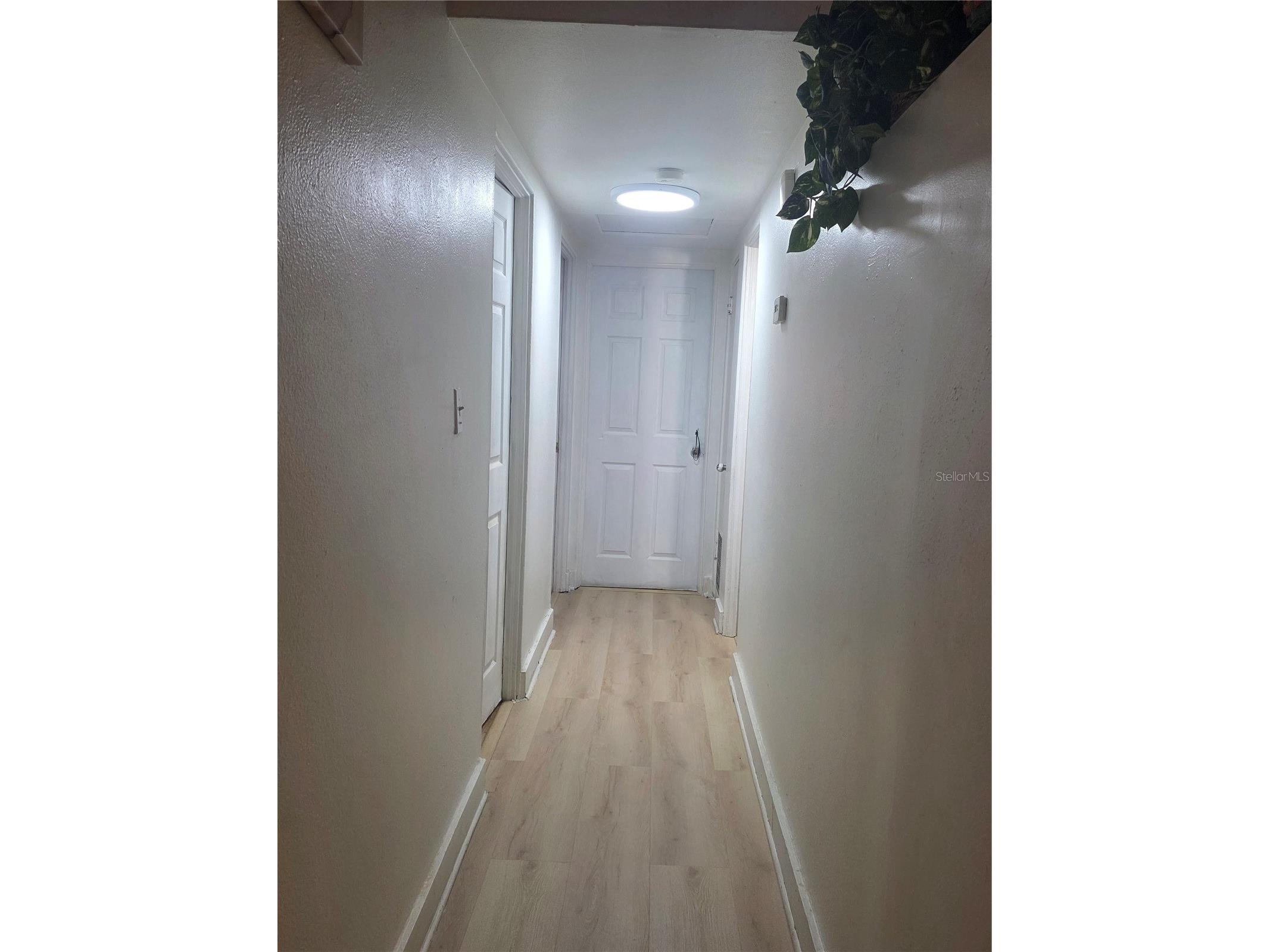 1005 Kimball Drive Ocoee FL 34761 O6410673 image3